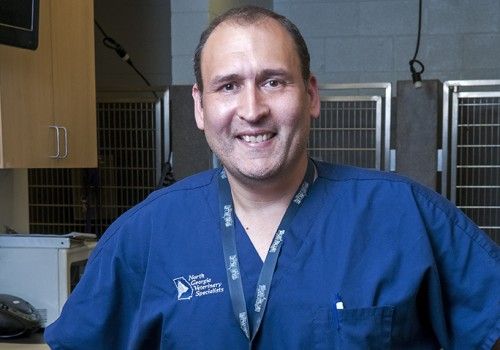 Keith Curcio, DVM, DACVS Keith Curcio, DVM, DACVS