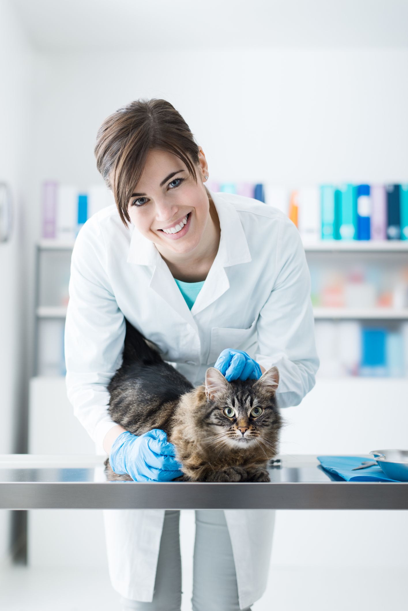 A female veterinarian is petting a cat on a table - Buford, GA - North Georgia Veterinary Specialists