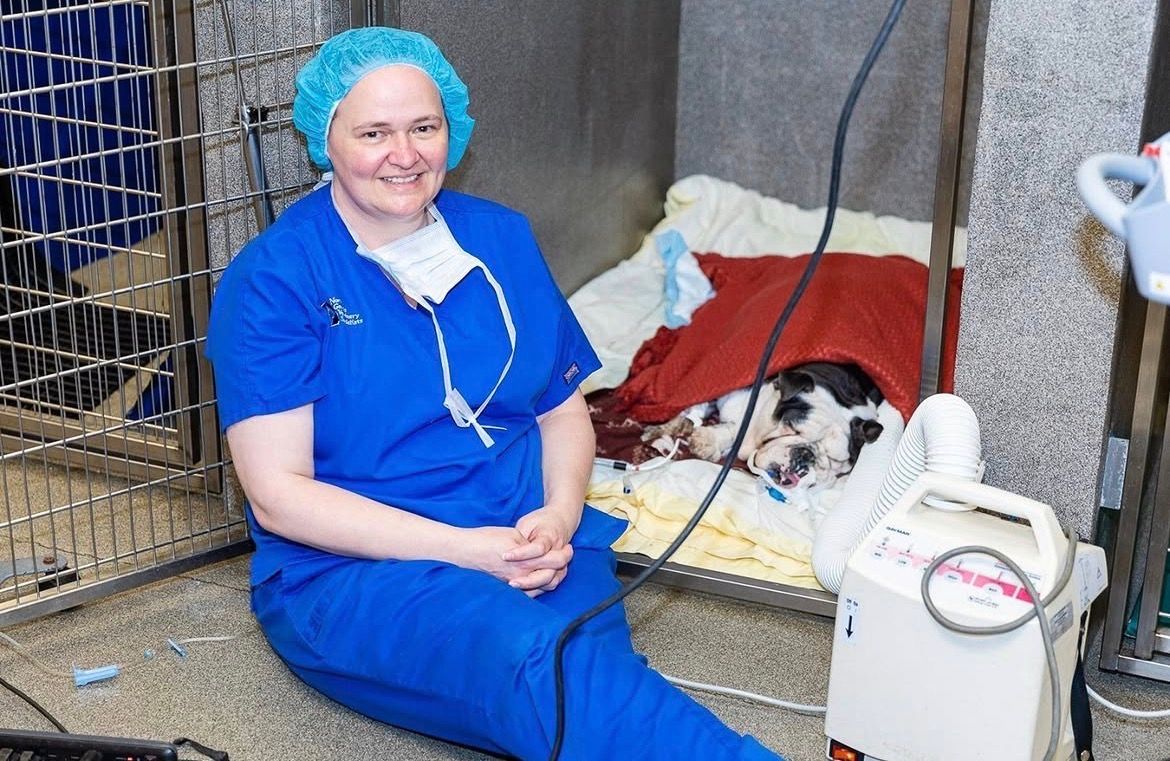 A surgeon is operating on a patient in an operating room - Buford, GA - North Georgia Veterinary Specialists 