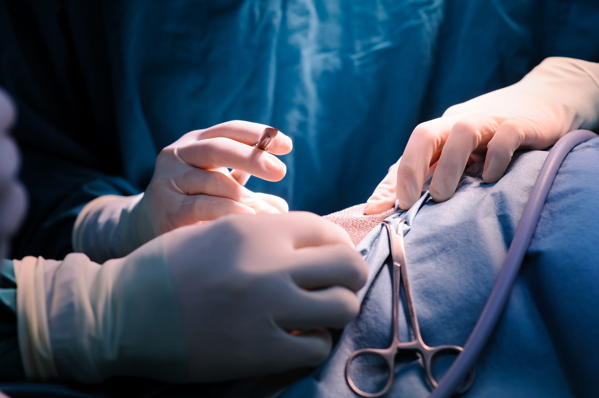 A surgeon is operating on a patient in an operating room - Buford, GA - North Georgia Veterinary Specialists 