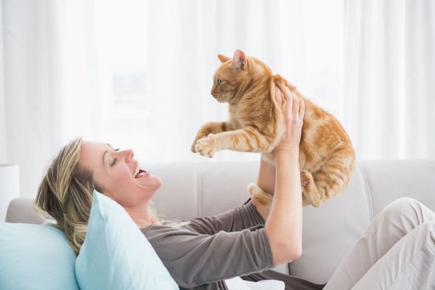A woman is sitting on a couch holding a cat in her arms - Buford, GA - North Georgia Veterinary Specialists 
