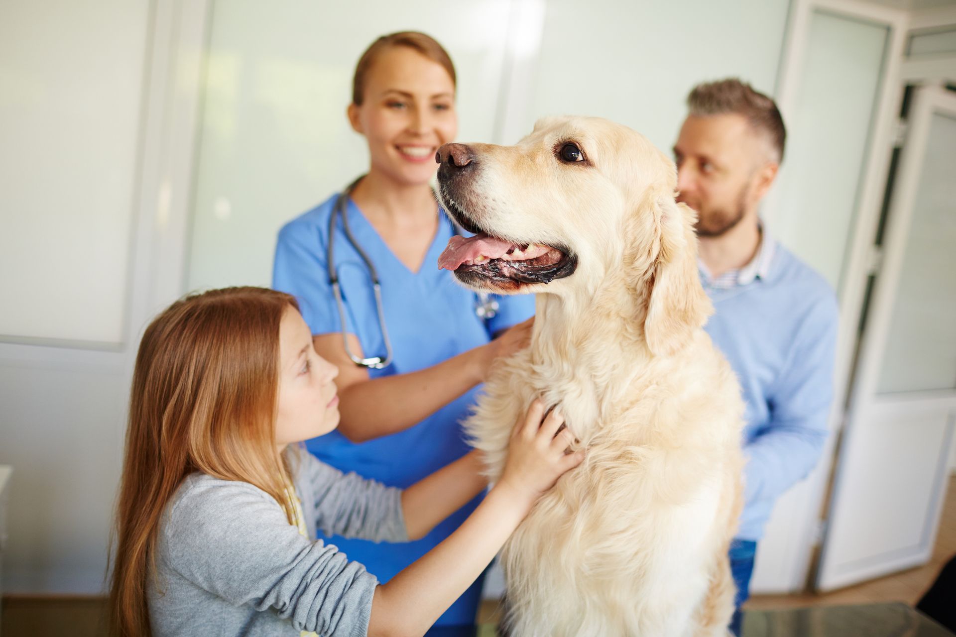 A girl is petting a dog at the vet while a man and woman look on.