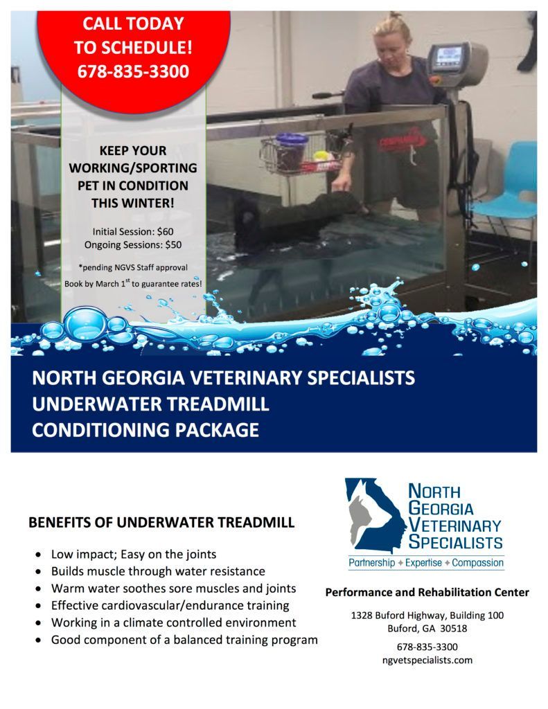 A poster for north georgia veterinary specialists underwater treadmill conditioning package - Buford