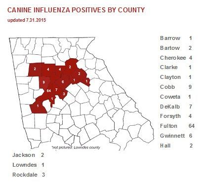 A map showing canine influenza positives by county - Buford, GA - North Georgia Veterinary Specialist A map showing canine influenza positives by county - Buford, GA - North Georgia Veterinary Specialist