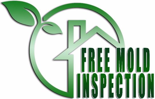 mold inspections