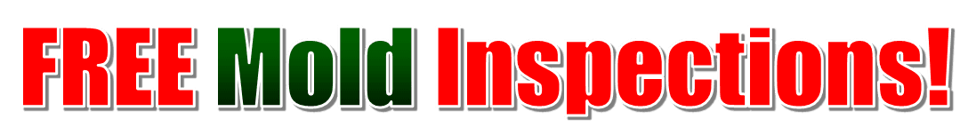 mold inspection and testing