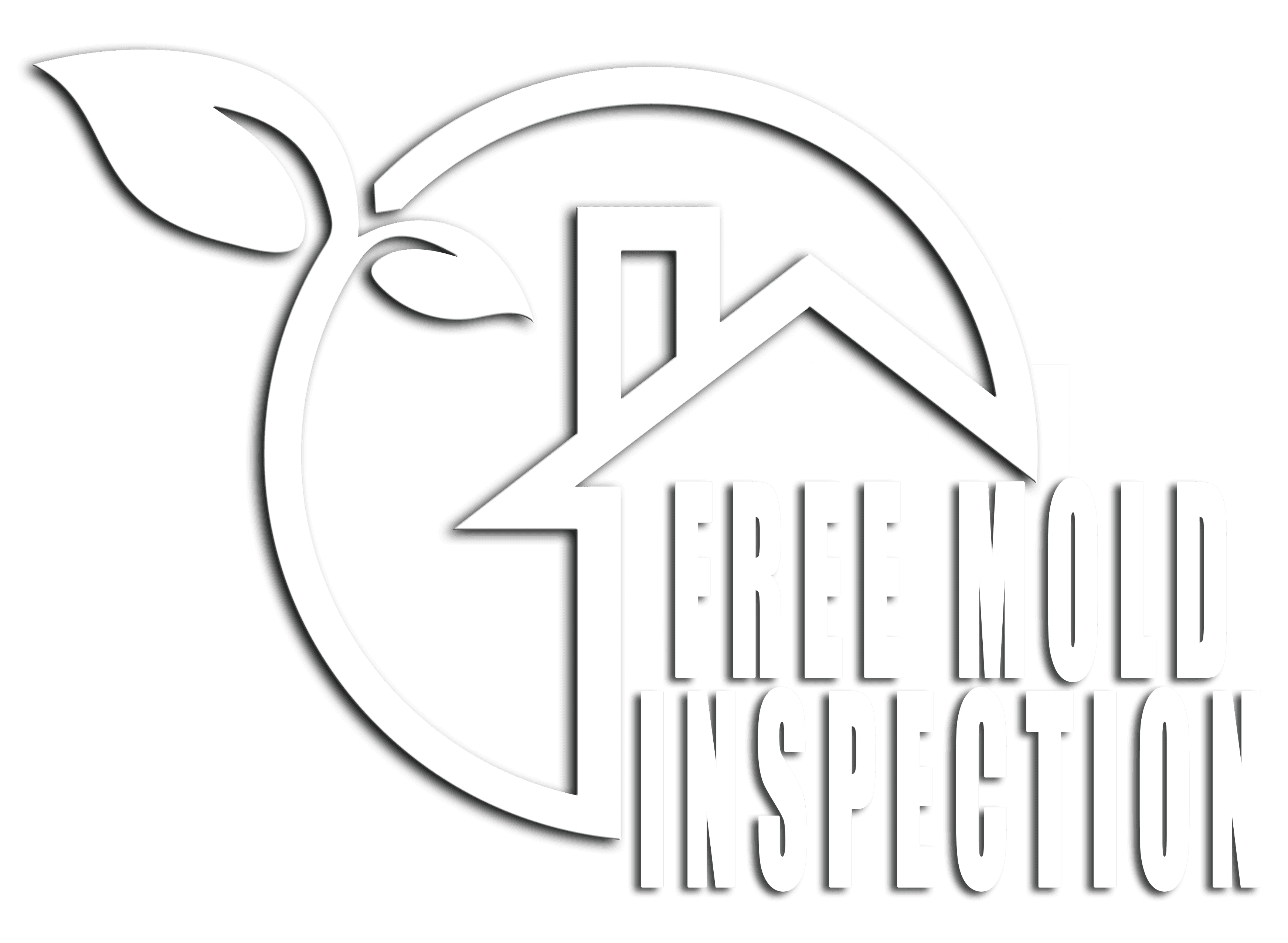 free mold inspection