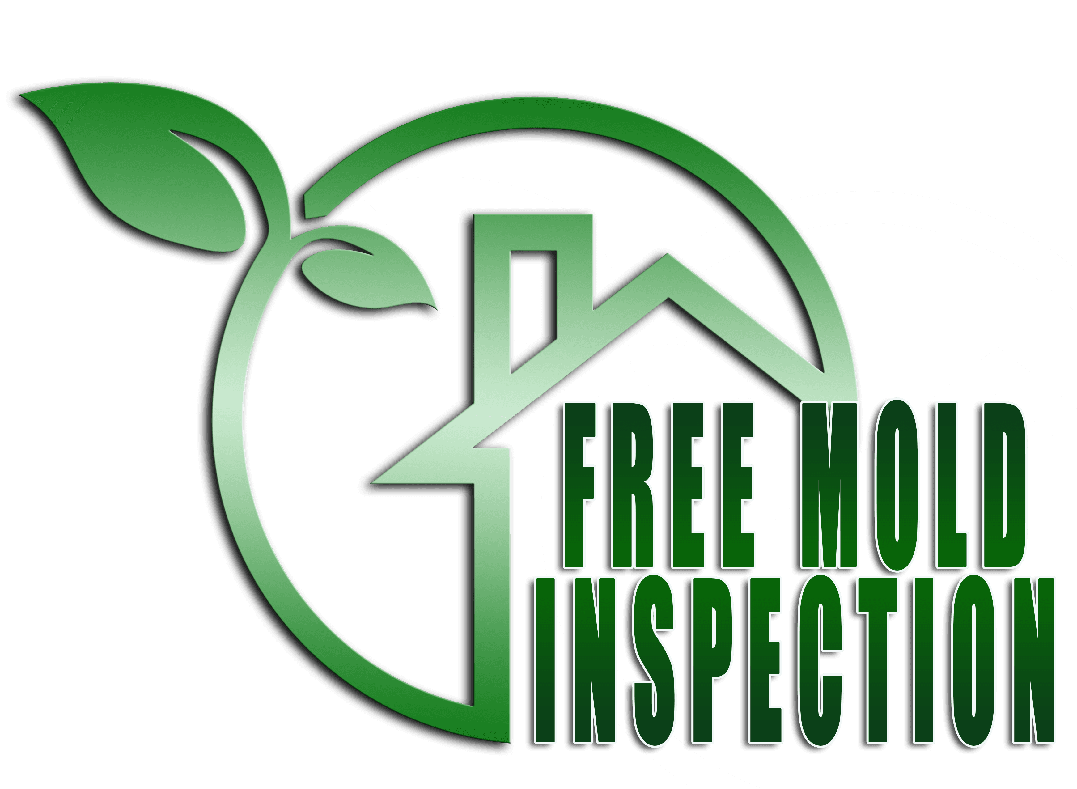 mold inspections and testing