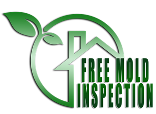mold inspection