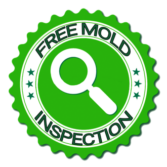 free mold inspections