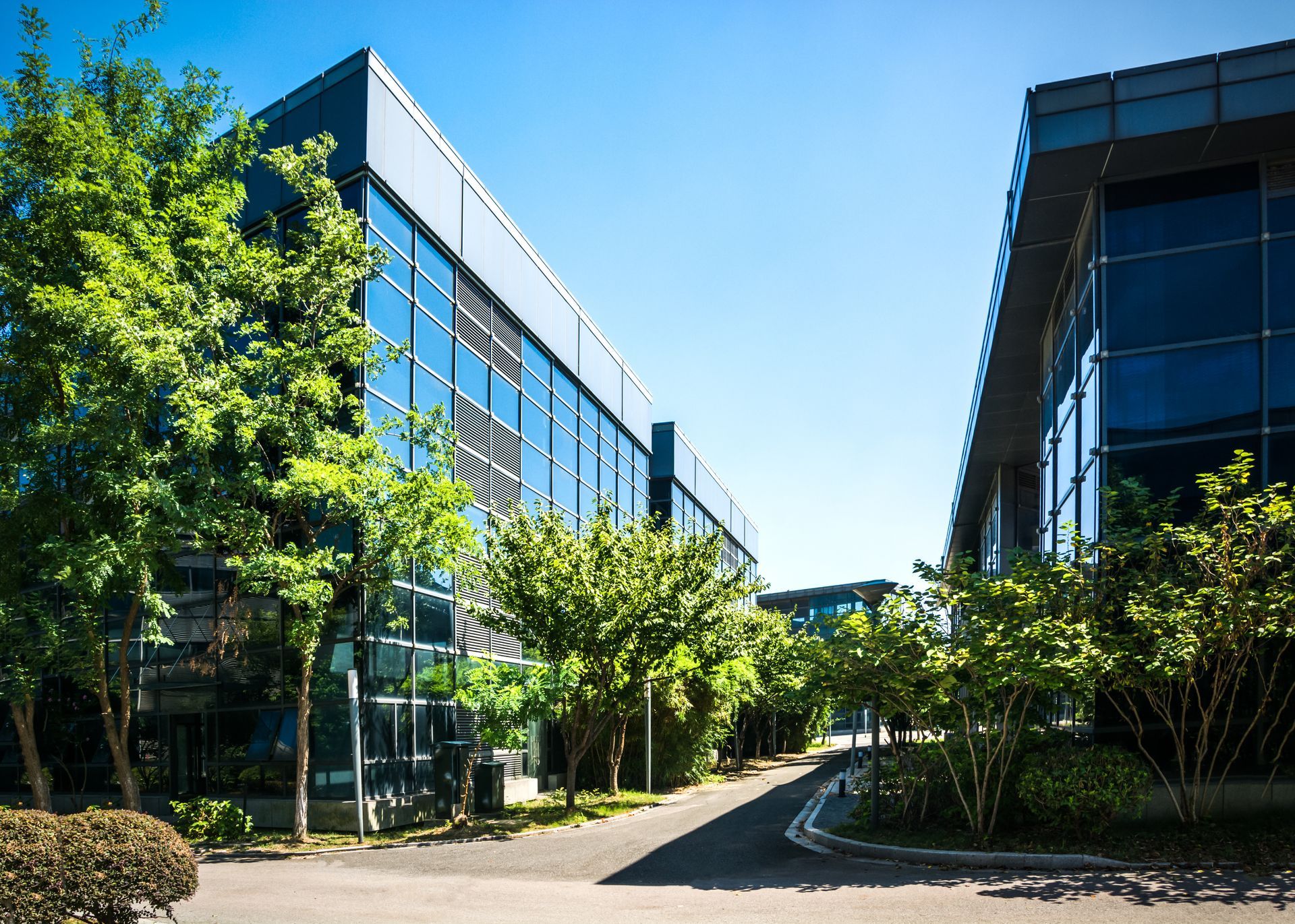 Modern glass office buildings stand on either side of a paved path, surrounded by lush green trees under a clear blue sky.