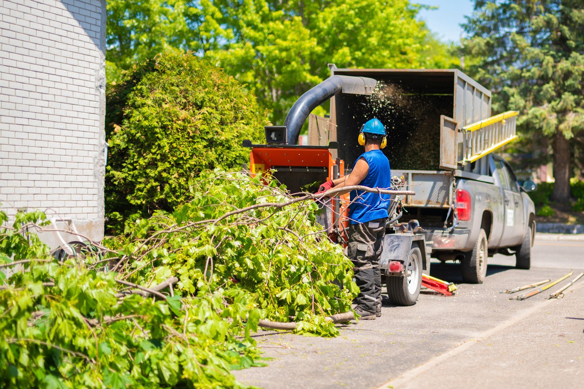 A worker wearing a blue shirt and protective ear muffs feeds tree branches into a wood chipper connected to a truck.