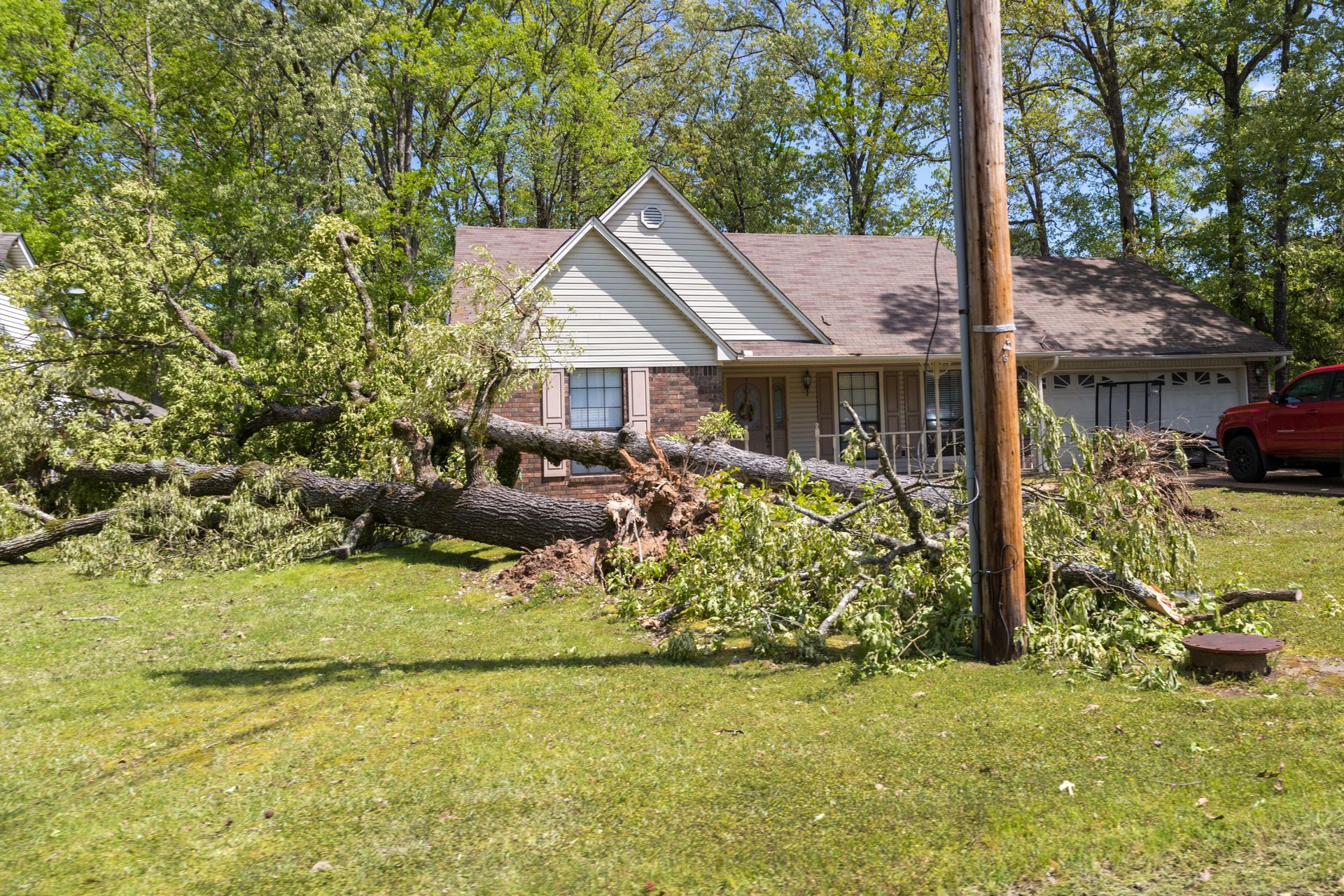 A large fallen tree lies across the front lawn of a suburban house, near a utility pole and a red pickup truck.