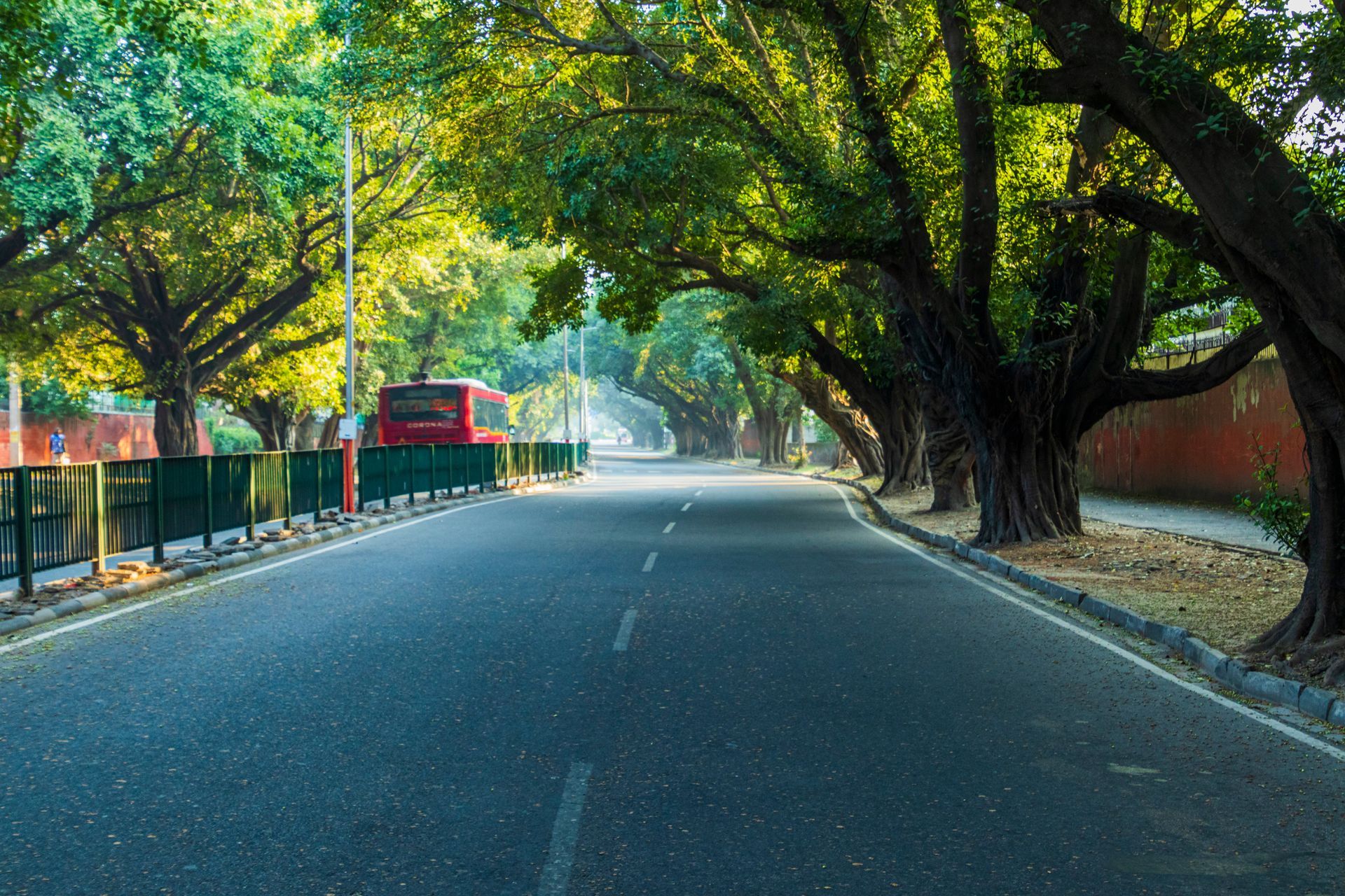 A quiet, paved road lined with large, lush green trees and a red bus visible in the distance.
