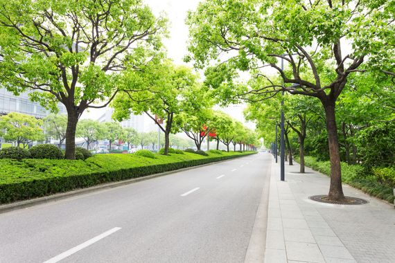 A paved road stretches into the distance, lined with vibrant green trees and manicured hedges under a bright, overcast sky.