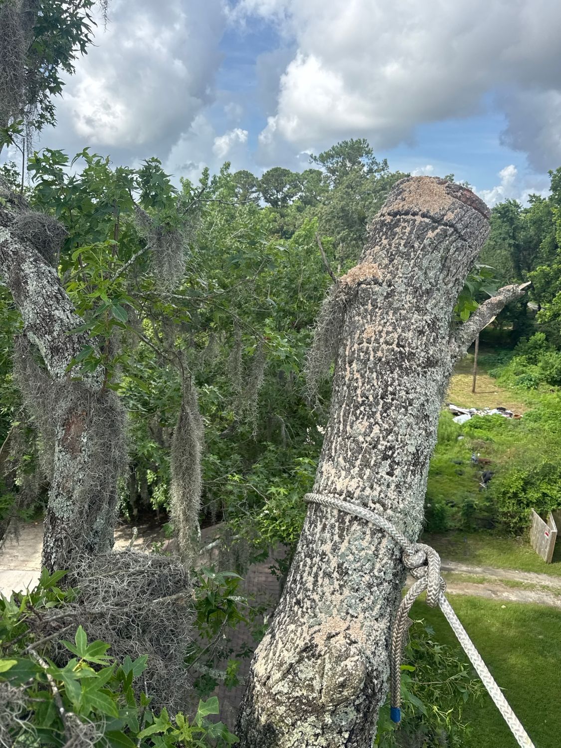 Weathered stone sculptures in a lush green garden under a cloudy sky