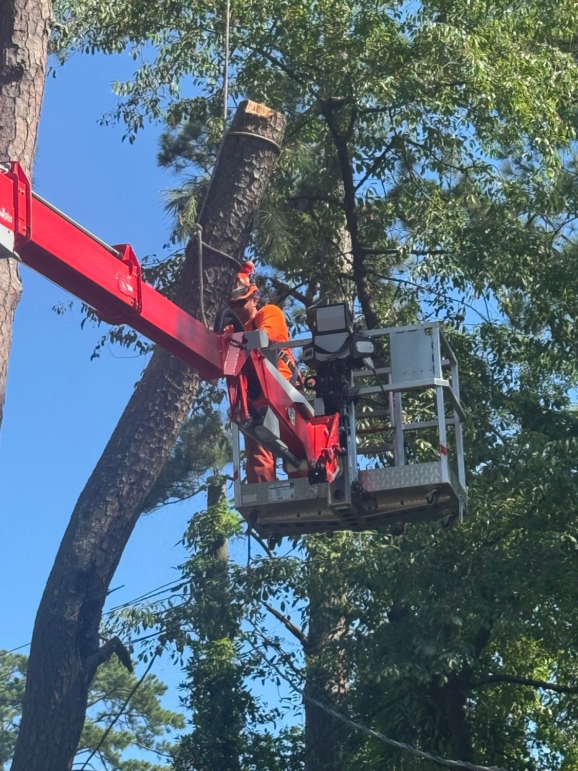 Utility workers in orange safety gear trim a tree from a bucket lift beside a red boom arm.