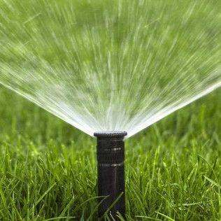 A sprinkler spraying water over green grass.