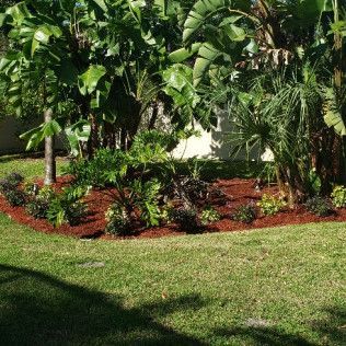 A garden bed with lush green plants and red mulch borders a grassy lawn.