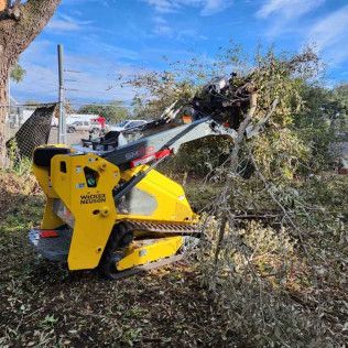 Yellow Wacker Neuson skid steer removing tree branches outdoors.