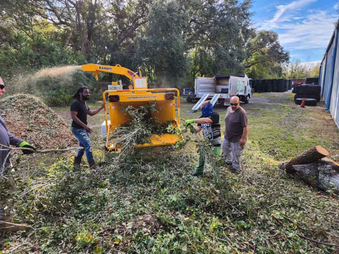 People feeding tree branches into a yellow wood chipper in a yard, producing wood chips.