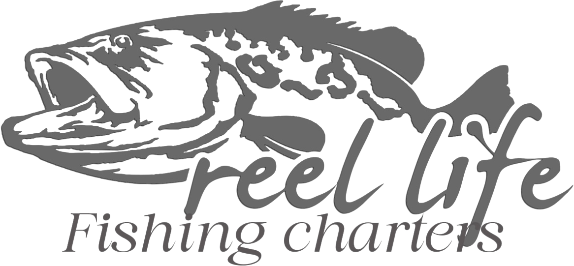 Reel Life Fishing Charters