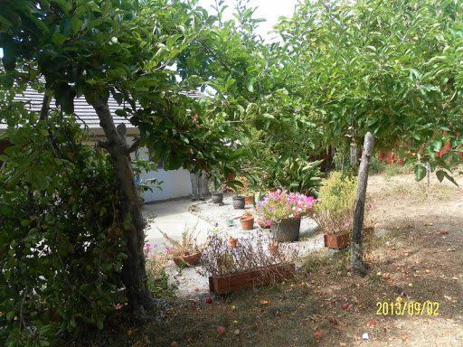 pebble beach exterior