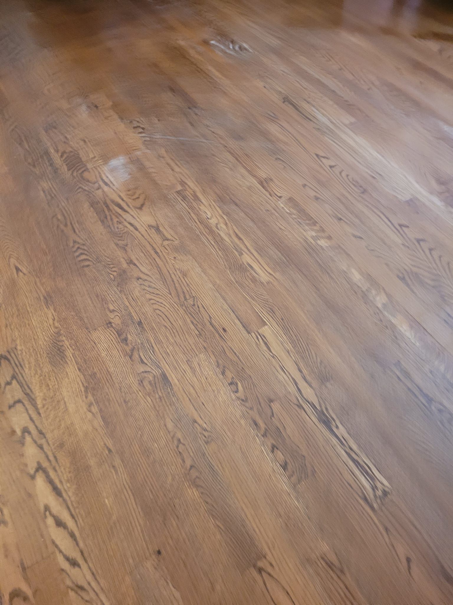Dark stained hardwood flooring.