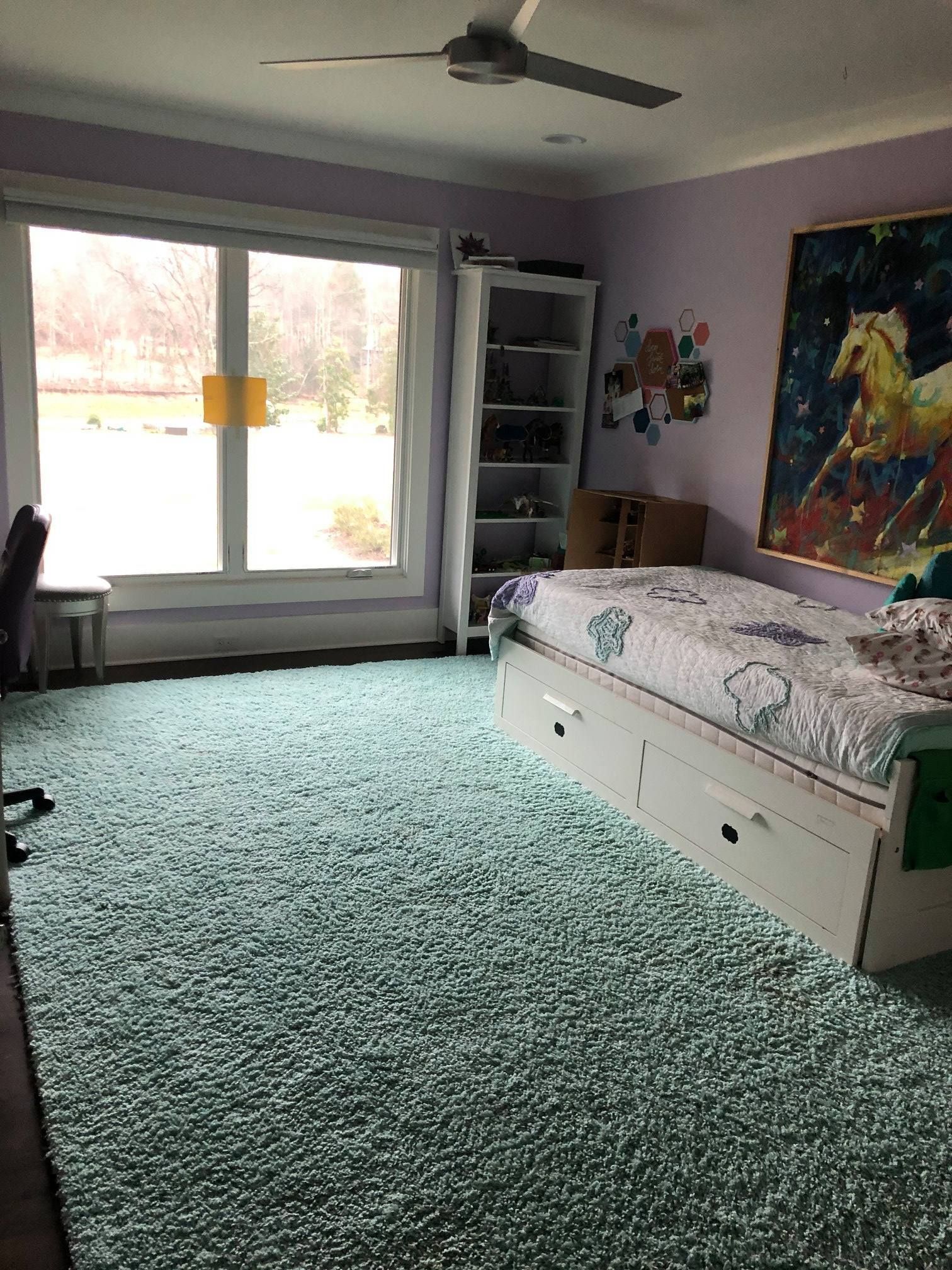 Bedroom with a large window, light blue shag rug, white bed, and purple walls.