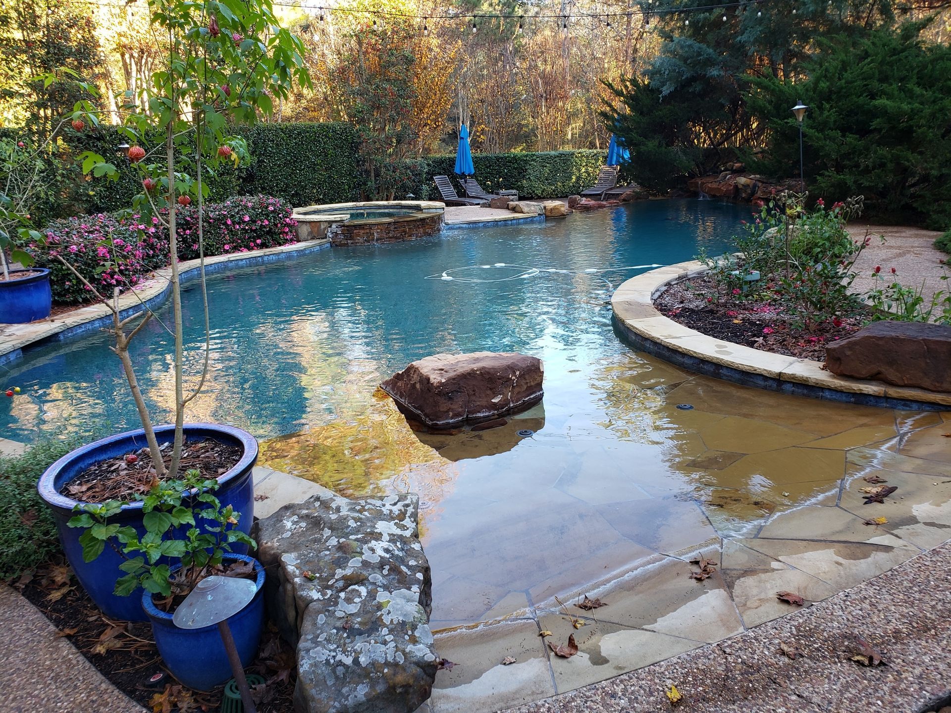 A large swimming pool surrounded by rocks and plants in a backyard.
