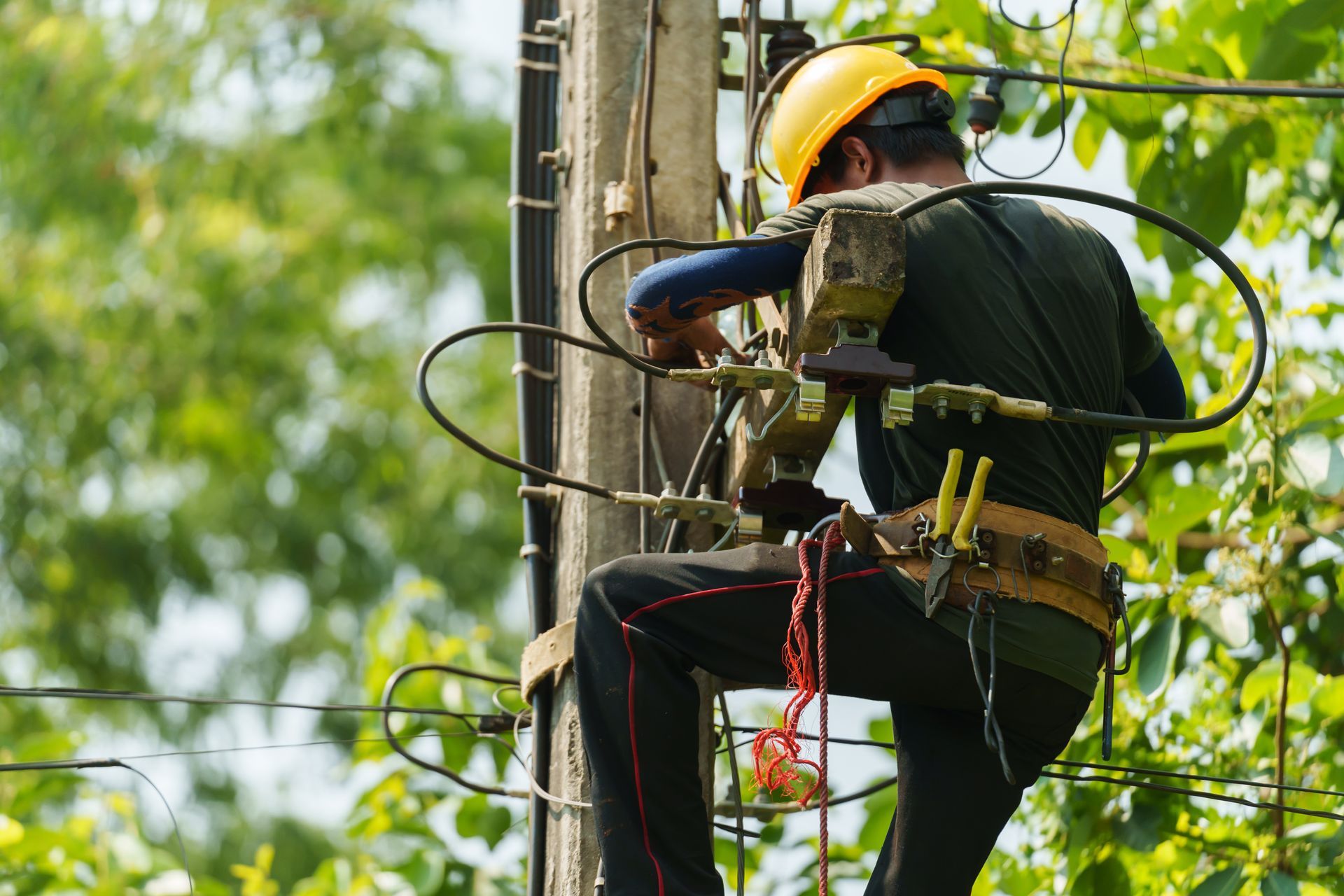 A tree services worker applying lubricant to a pole saw during tree maintenance.