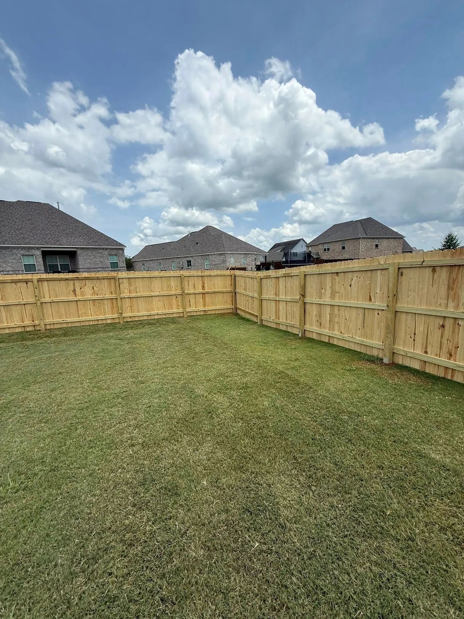 A wooden fence encloses a green lawn in a suburban backyard. Houses are visible in the background against a cloudy sky.