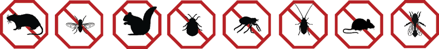 Pest Stop: Pest Control Services
