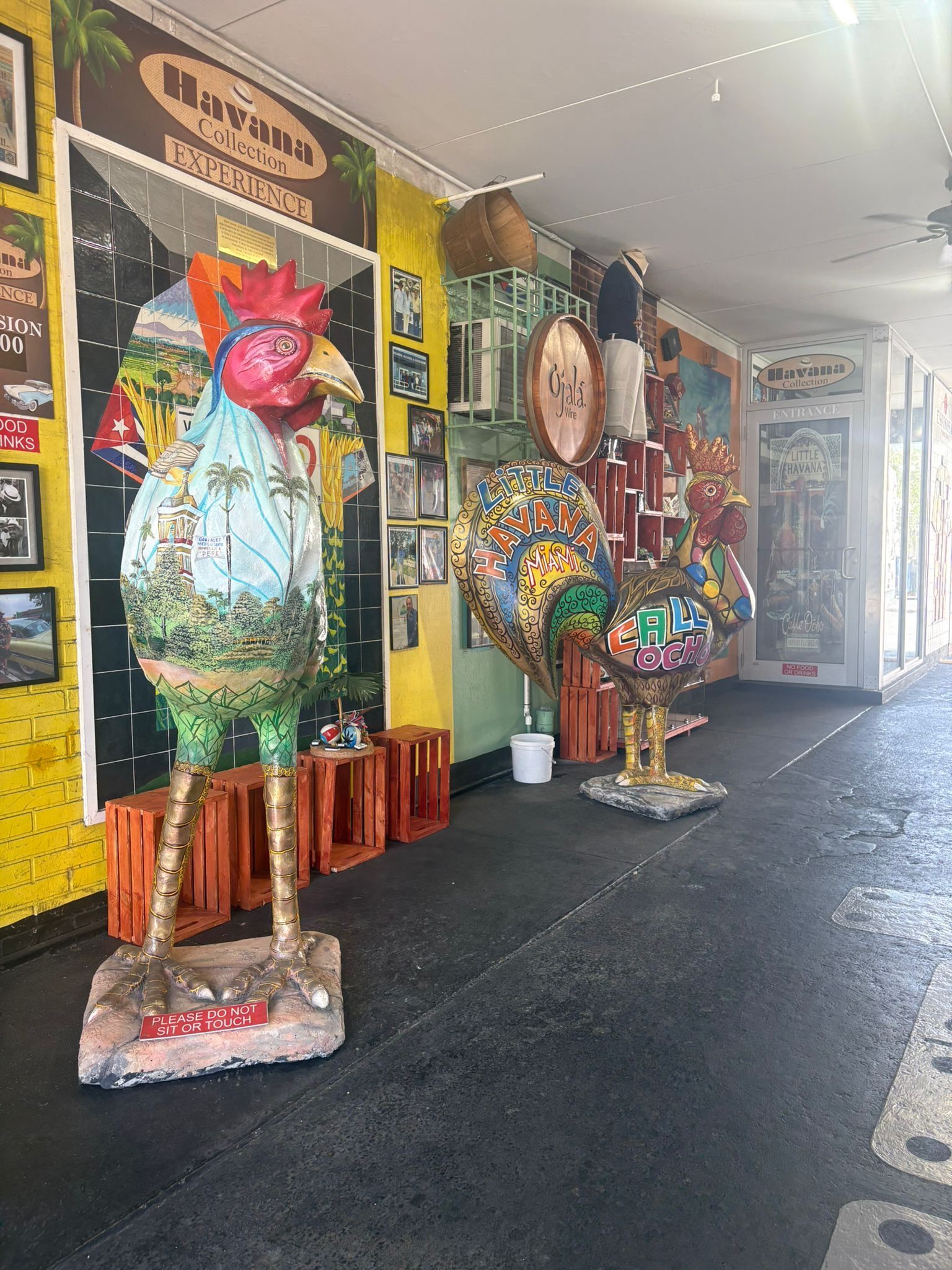 Rooster Murals in Little Havana seen on the Miami Bus tour Route in Little Havana 