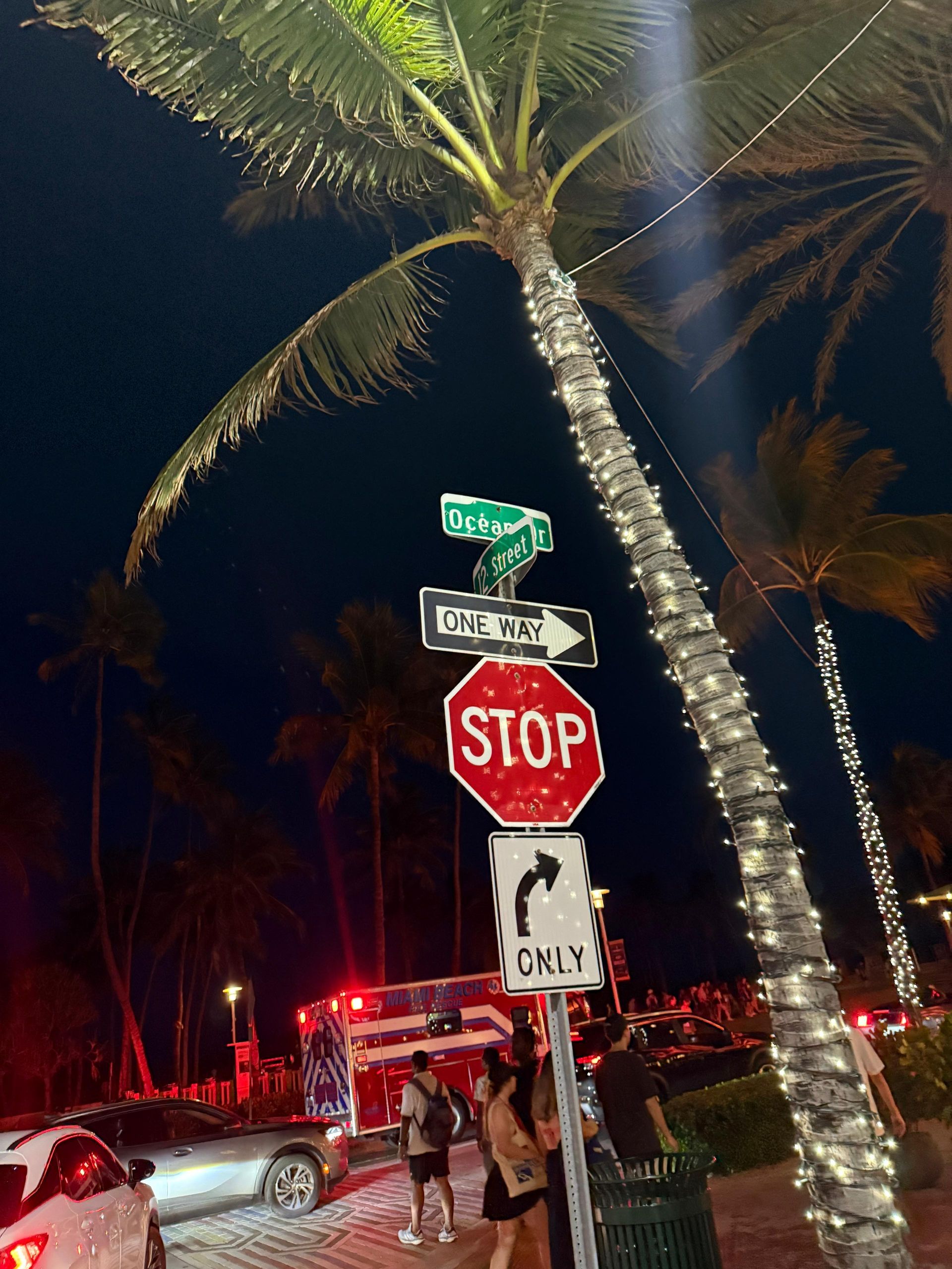Miami Night Tour by bus 