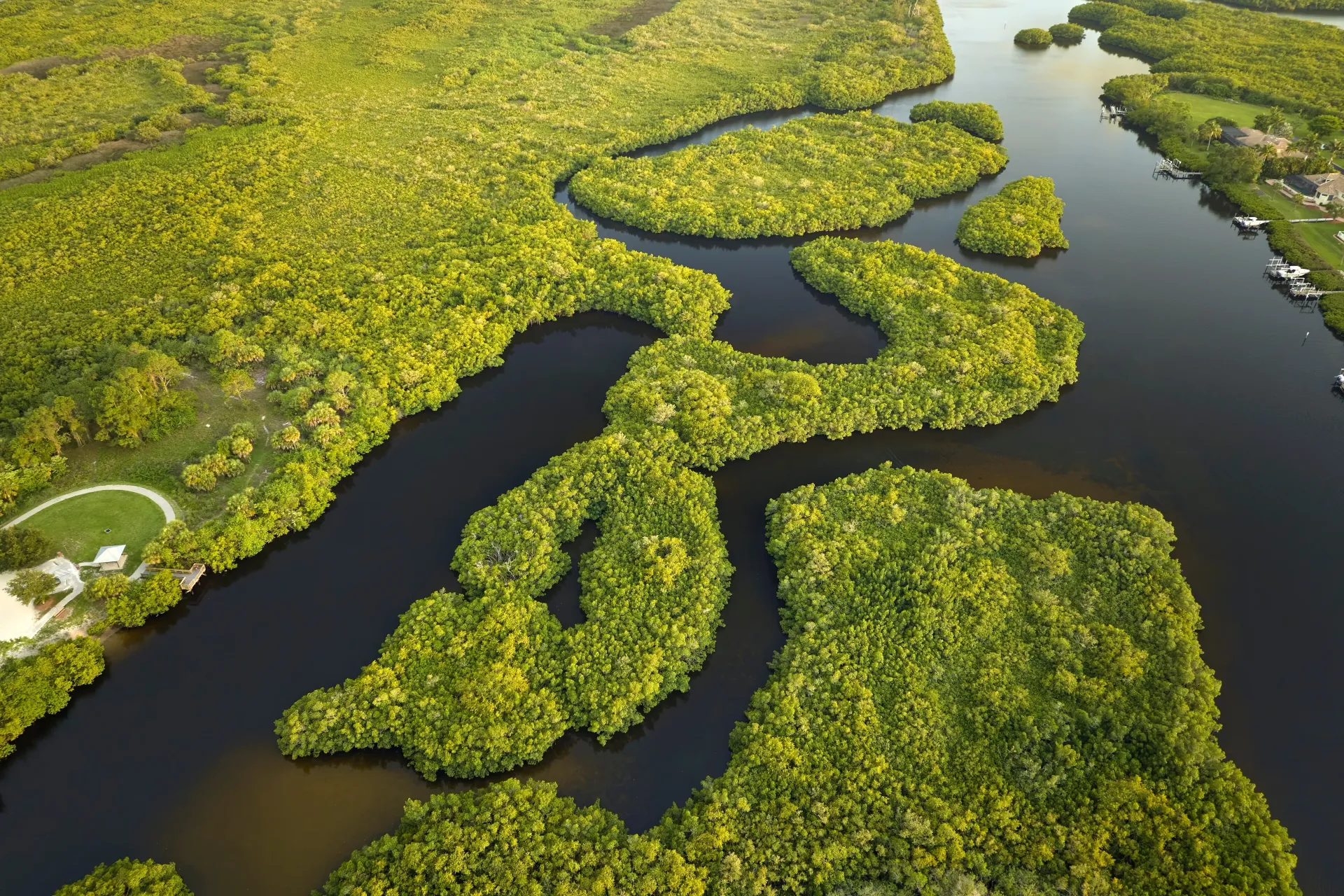 Aerial view of the Florida Everglades wetlands and waterways seen during Everglades boat tours.