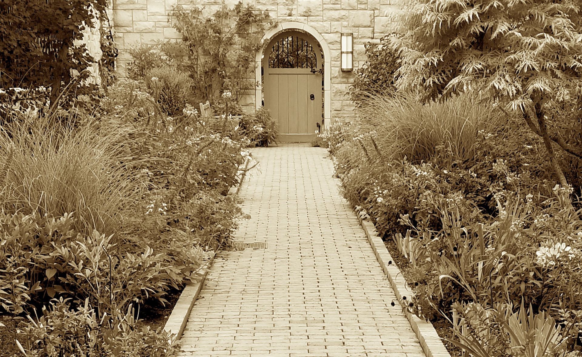 a brick pathway leading to an arched doorway with foliage lining both sides