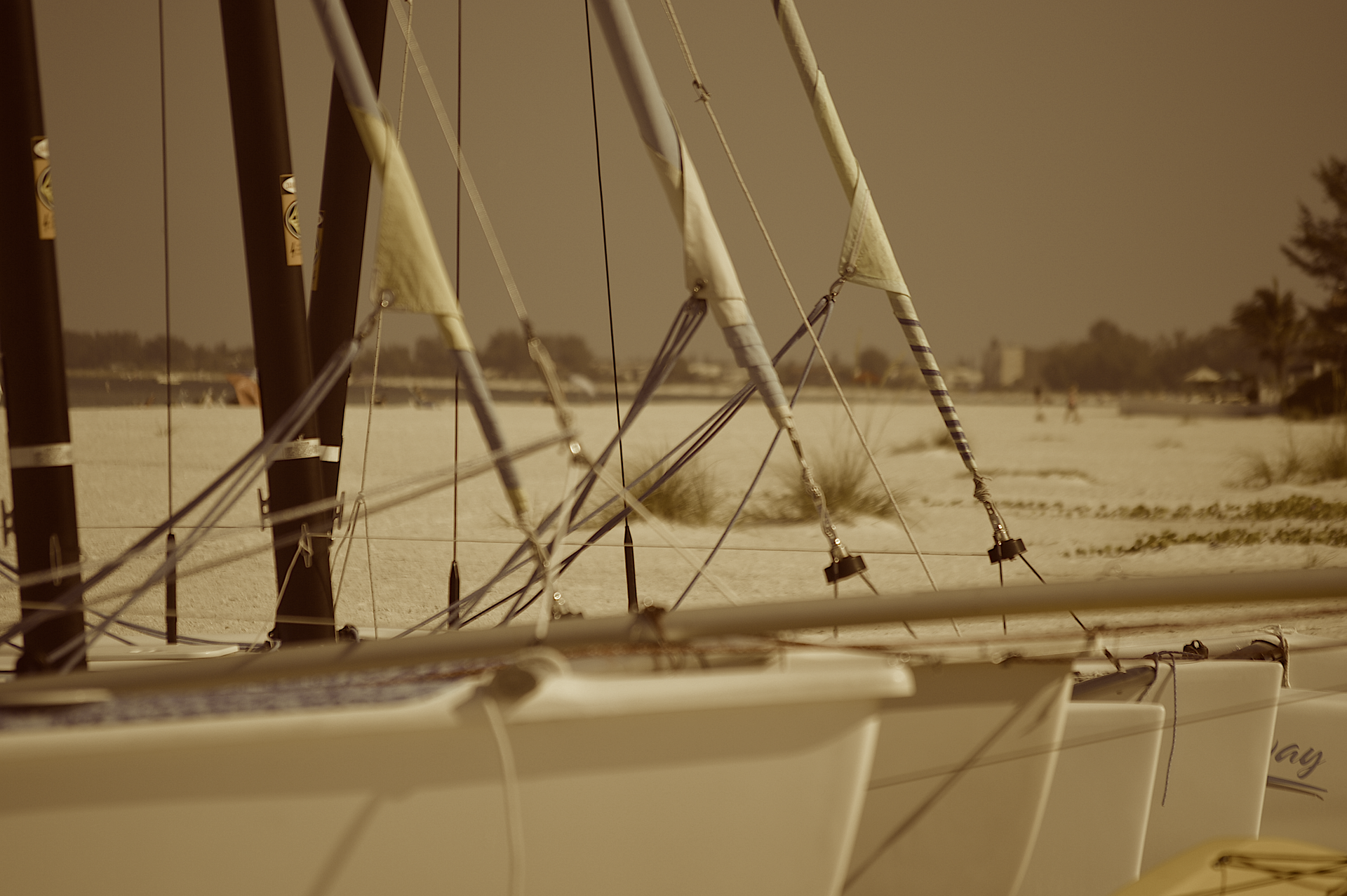 A row of sailboats are lined up on a beach