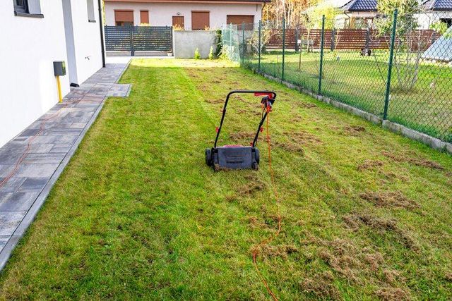 A person is planting a plant in the soil with a rake.