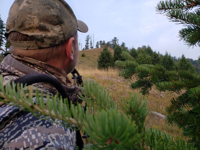 A man in a camo hat looks out over a forest