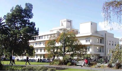 Modern hospital building exterior with blue signage, blue sky, and a small tree.