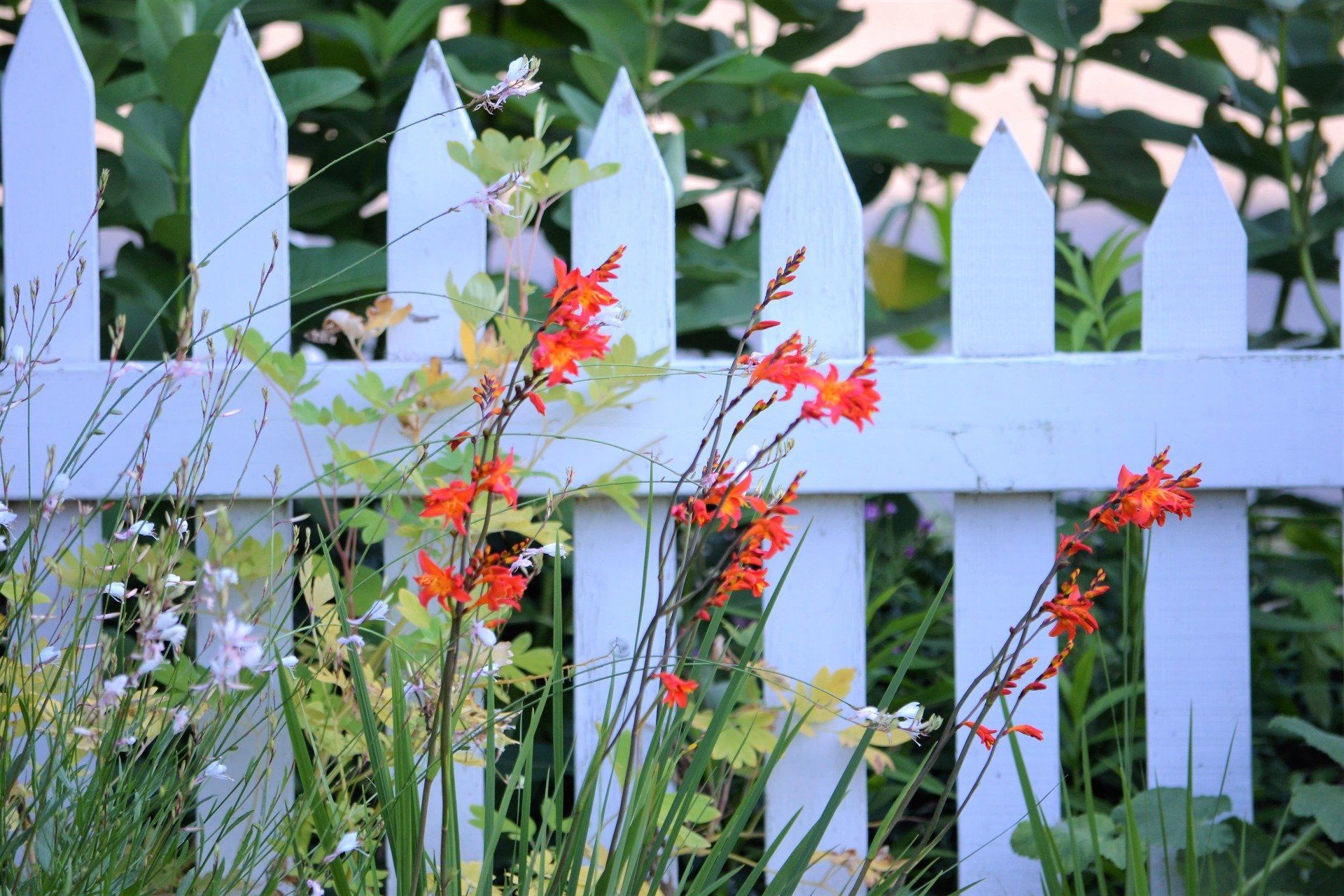 White Picket Fence in Macon GA