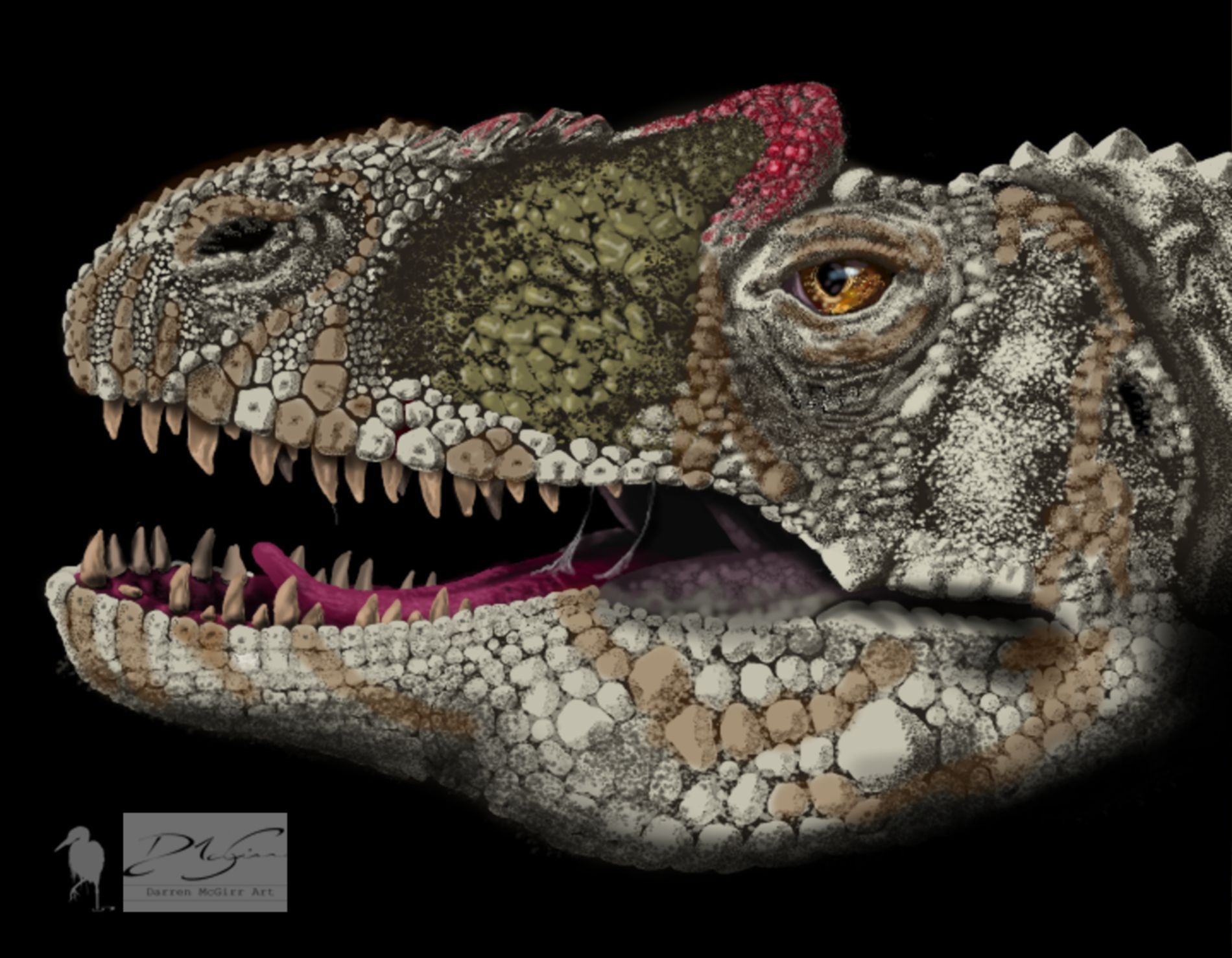 A close up of a dinosaur 's head with its mouth open