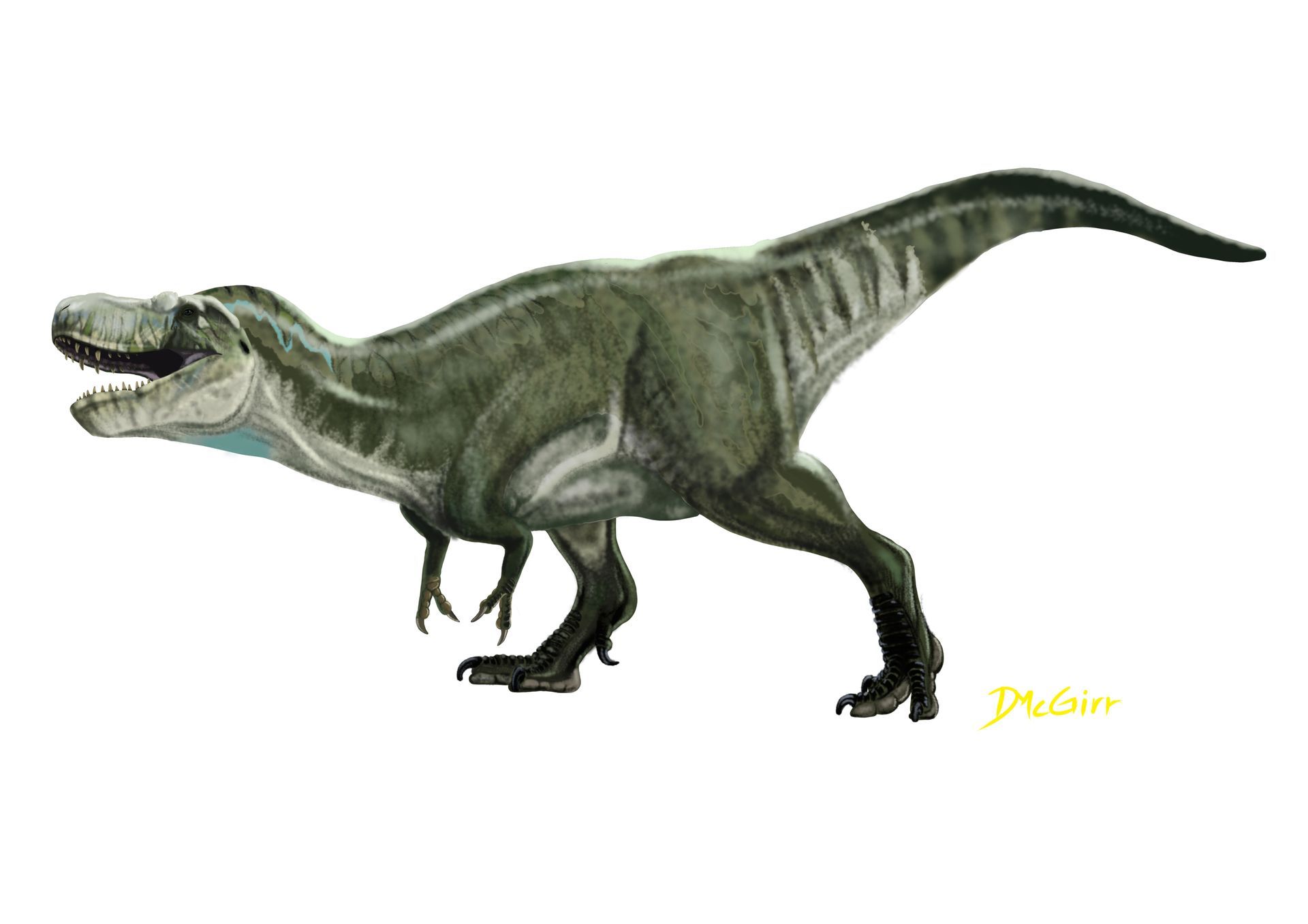 A drawing of a dinosaur with its mouth open