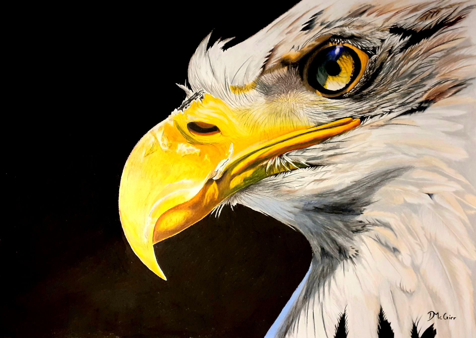 A painting of a bald eagle with a yellow beak