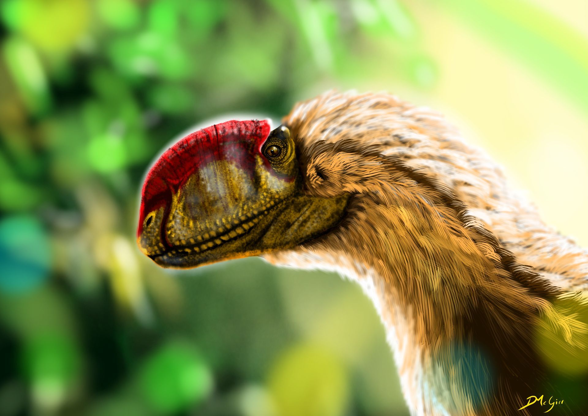 A painting of a feathered dinosaur with a red crest
