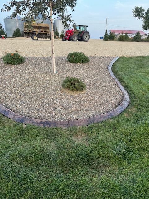 A red tractor is parked in a gravel lot next to a tree.