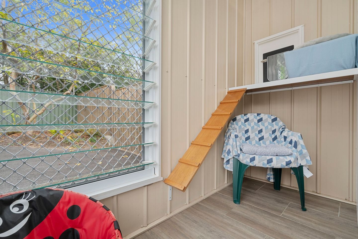 Ginger Relaxing — Cattery Services in Beerburrum, QLD