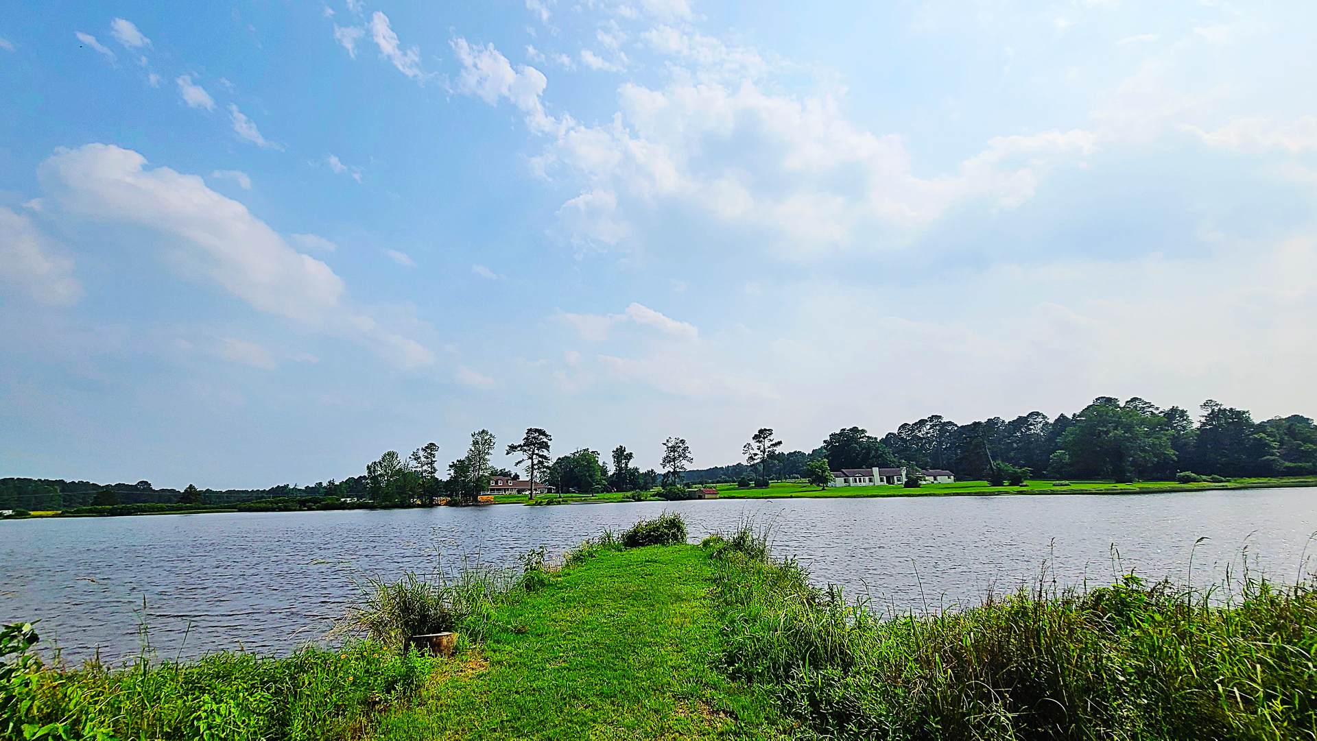 A large body of water surrounded by trees and grass on a sunny day.