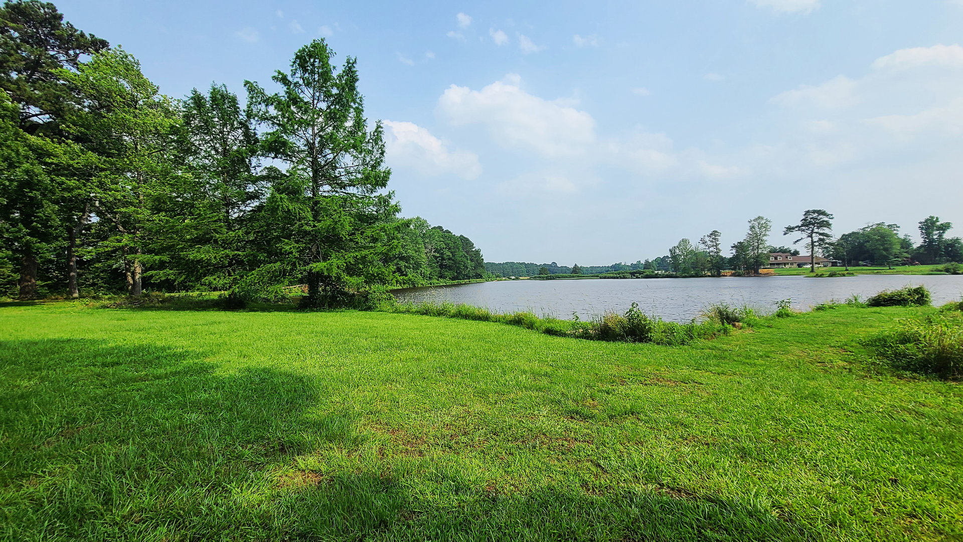 A large grassy field with trees and a lake in the background.